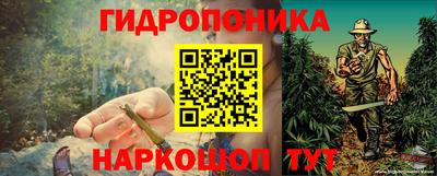 стафф Чапаевск
