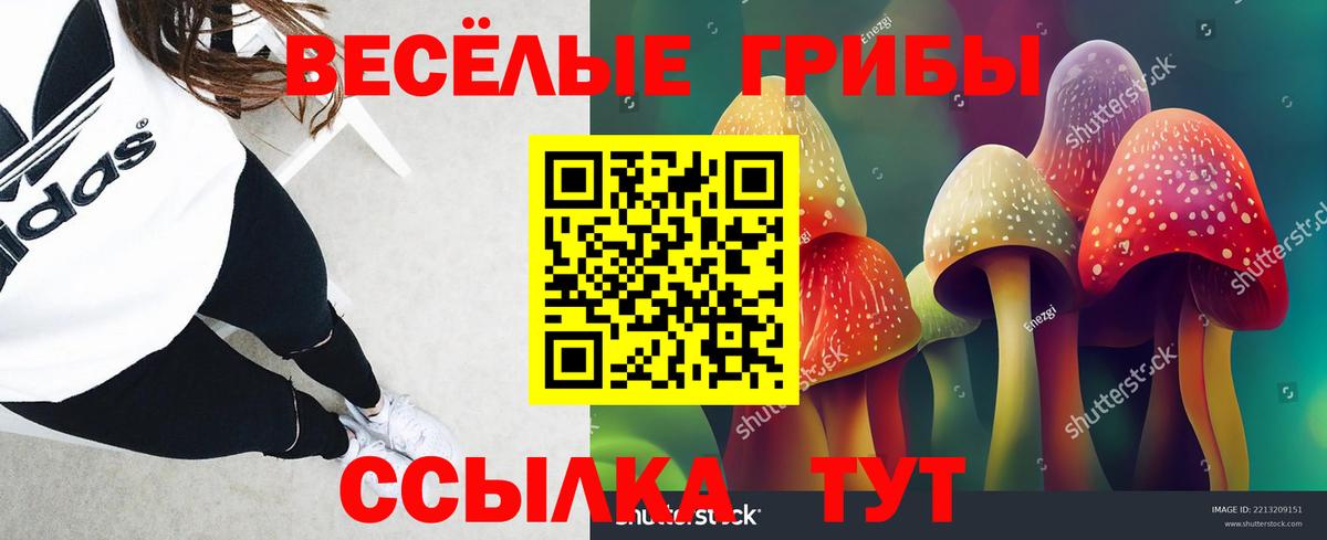 Малгобек  Галлюциногенные грибы GOLDEN TEACHER  Вход с VPN 